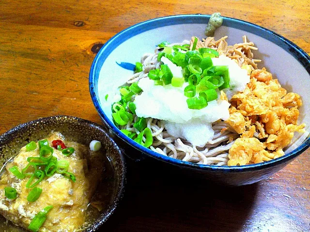 おろしぶっかけ蕎麦と玉子巾着|maさん