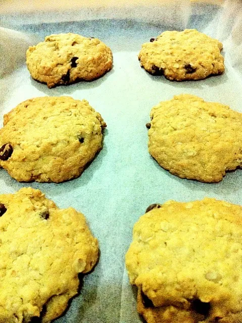 Oatmeal. cookies with choco chips|caren memanさん