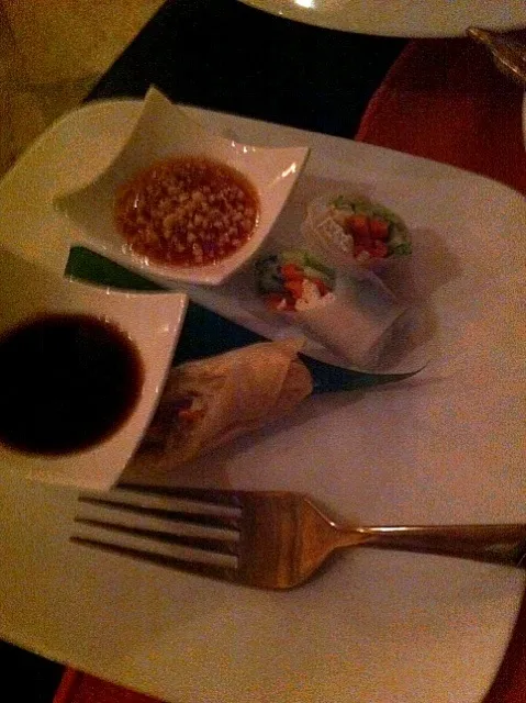 Snapdishの料理写真:Spring Roll （生春卷和炸春卷）|Sally_HHHさん