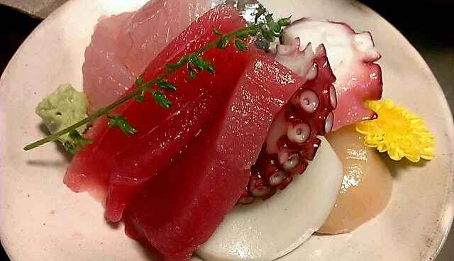 お刺身|まぐろさん