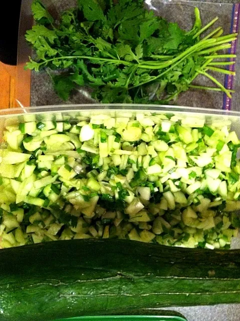 cucumber salsa|katie kramerさん