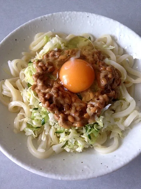 Snapdishの料理写真:ぶっかけうどん|Akikoさん