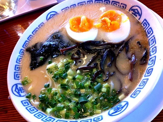 Snapdishの料理写真:とんこつらーめん 煮卵入り@まるきんラーメン|mayumiさん