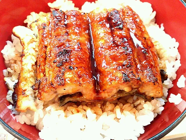 うな丼|ツツカメさん