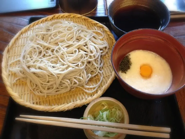 Snapdishの料理写真:髙橋屋のとろろそば|tomozouさん