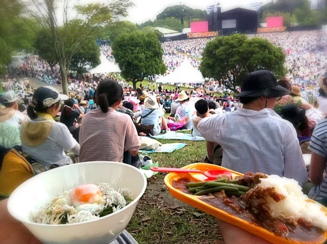 Snapdishの料理写真:しらす温玉丼と豚タンカレー|1614さん