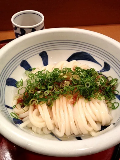 生醤油うどん(はがくれ)|真武 大さん