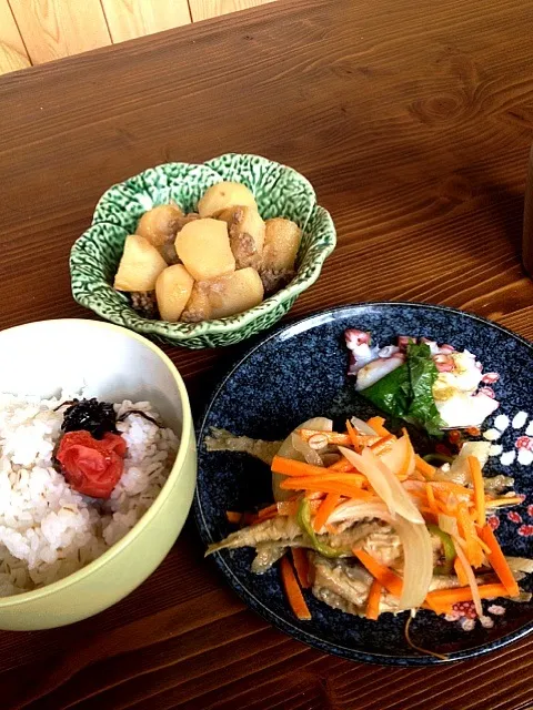 鯵の南蛮漬 生タコ じゃがいもそぼろ煮|藤美堂さん