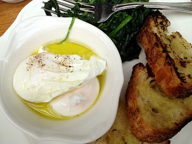 poached eggs in olive oil, sourdough & sauteed spinach|Nicoleさん