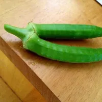 twin okra