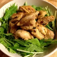 シャキシャキ水菜と鳥もものネギ味噌丼