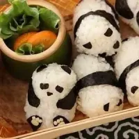 kungfu panda sushi rice