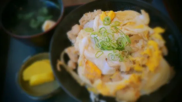 Snapdishの料理写真:親子丼|かっちぃさん