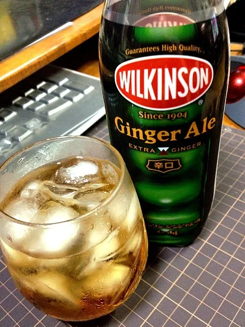 WILKINSON 辛口 Ginger Ale ウイスキー割り。|hiroさん