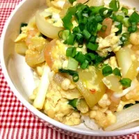 Snapdishの料理写真:えび揚げ玉丼|よーこさん