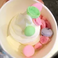 Snapdishの料理写真:mini macaron yogurt 迷你马卡龙冰冻酸奶