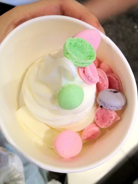 Snapdishの料理写真:mini macaron yogurt 迷你马卡龙冰冻酸奶|Vanelさん