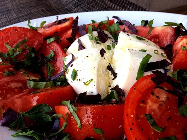 tomatoes and herbs|wendy sidewaterさん