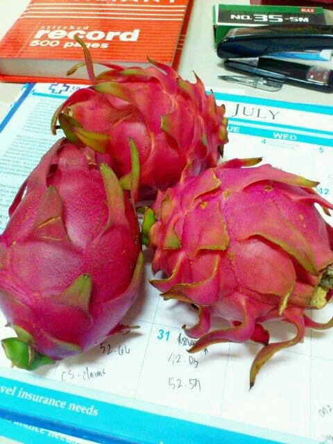 dragon fruit|khaiseyさん