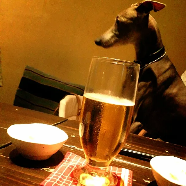 生ビール♪|ふぃるまめんとさん