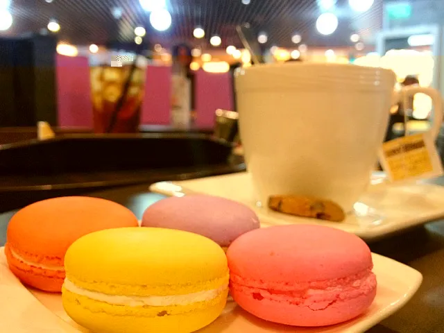 macarons!|samanthaさん