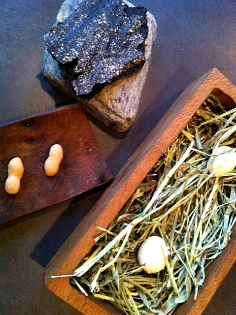 malt crackers, foie gras peanuts, & pickled quail eggs|michael nassarさん