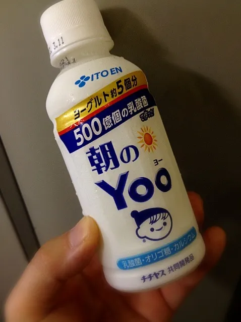 昼やけど、朝のYoo|Kojiさん