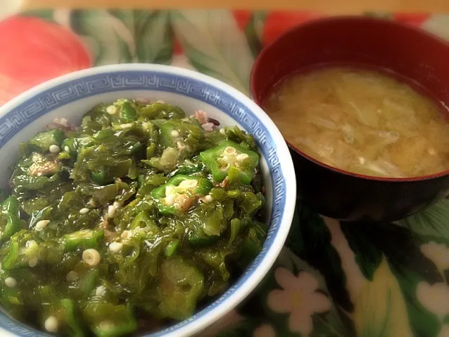 オクラとメカブのネバネバ丼、キャベツの味噌汁|miaco_macさん