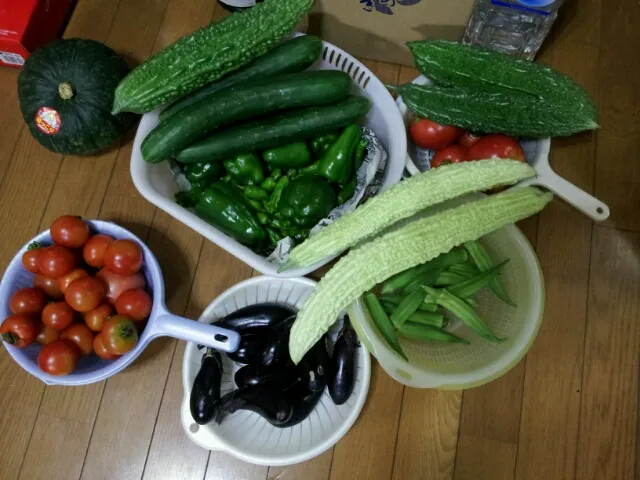 ちっちゃい庭で栽培した野菜達|カズミさん