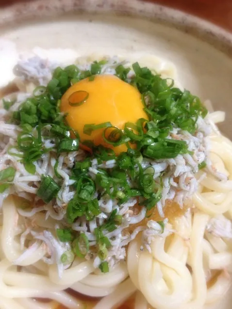 釜揚げしらすのおろしポン酢うどん|aiさん