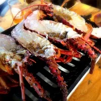 Snapdishの料理写真:grilling lobster table side