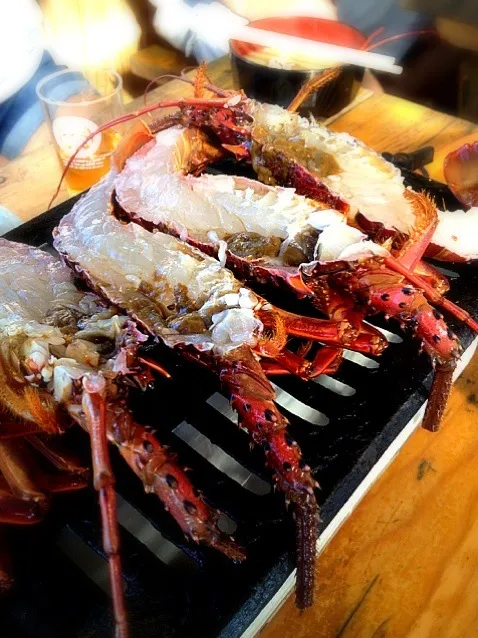 grilling lobster table side|lauren shannonさん