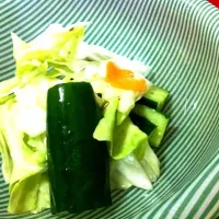 Snapdishの料理写真:野菜の浅漬け|喜納 雅さん