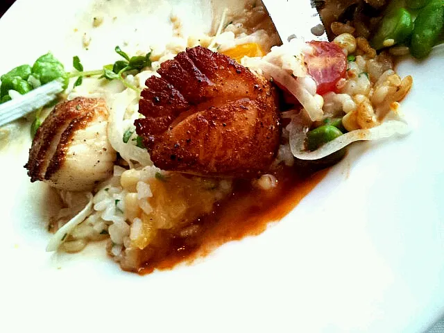 Snapdishの料理写真:Scallops over risotto|Cat Faustoさん