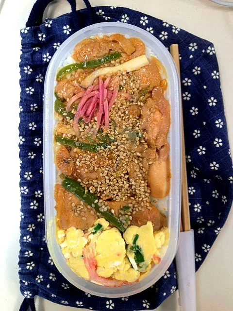 Snapdishの料理写真:鳥肉弁当|はせがわやすひささん