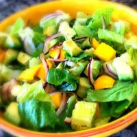 Mango & Avocado Salad|Carolina Rodriguezさん