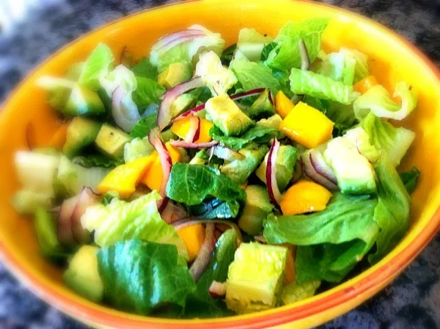 Mango & Avocado Salad|Carolina Rodriguezさん