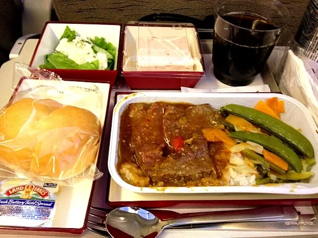 機内食！|ふぅかさん