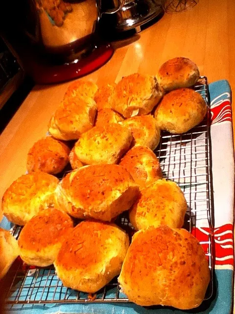 Snapdishの料理写真:Asiago Dinner Rolls|Luci Zoeさん