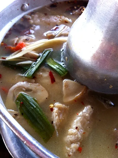 ต้มยำปลาม้า - Tomyum Pla Mha|didi kullawadeeさん