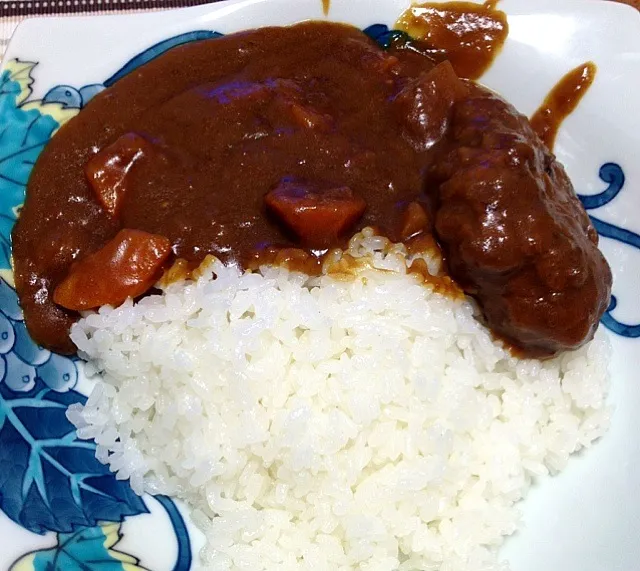 煮込みハンバーグカレー|カレーオヤジさん