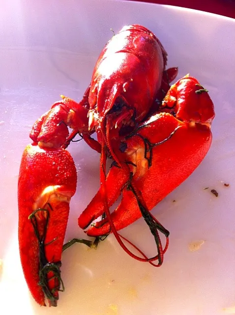 Snapdishの料理写真:my first victim of this year's crayfish party|keiko mashimaさん