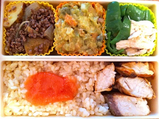 昨日と全くおんなじお弁当。おかずが残っていたのと今日は出社が早いのと昨夜なでしこ観ちゃったのと！あんな攻められてそれでも勝つなんて！なんちゅー人たち！本当におめでとうー、あと一試合！|番長さん