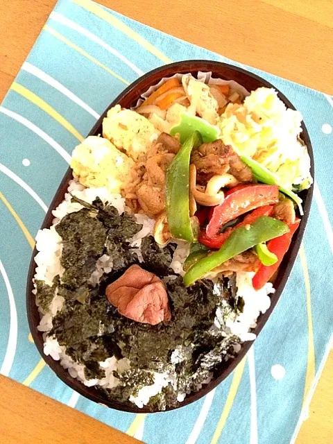 豚肉とピーマン炒め弁当|nekoさん