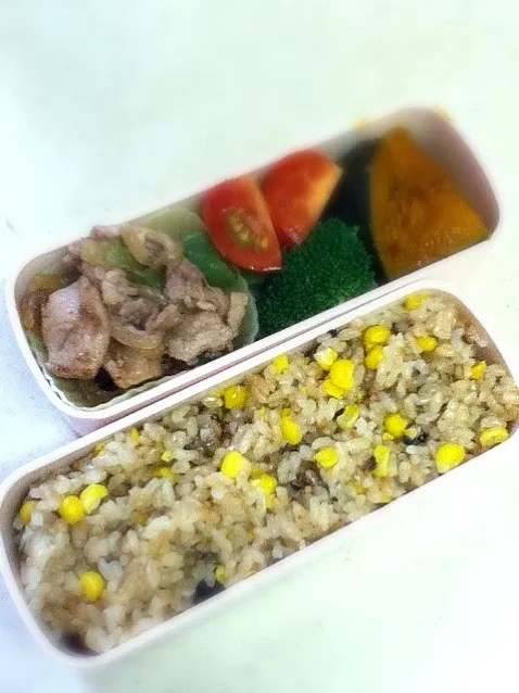 Snapdishの料理写真:今日のOL弁当。JKは部活で外食ランチなのでプレートは無し。|hoppycowさん