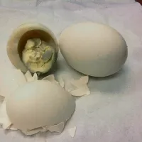 Snapdishの料理写真:boiled eggs|patさん