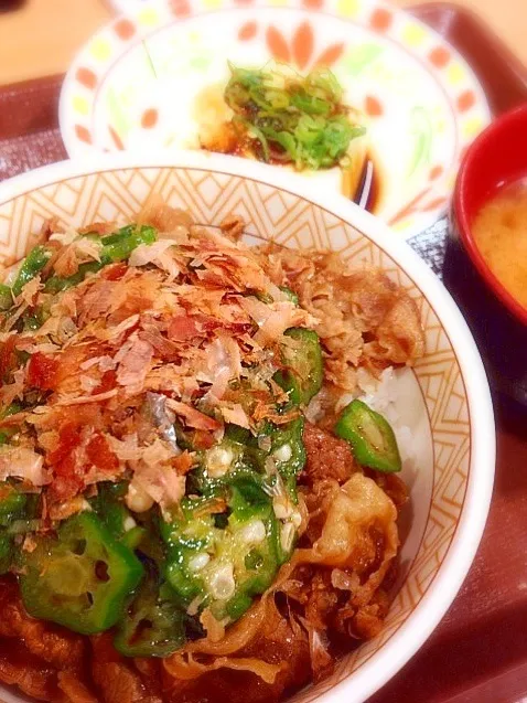 花がつオクラ牛丼 健康セット|ハチさん