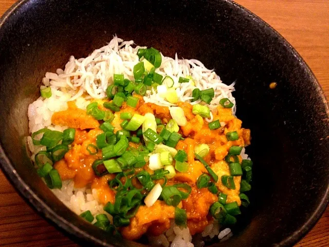 ウニ丼☆sea-urchin roe on rice|akkiiraさん