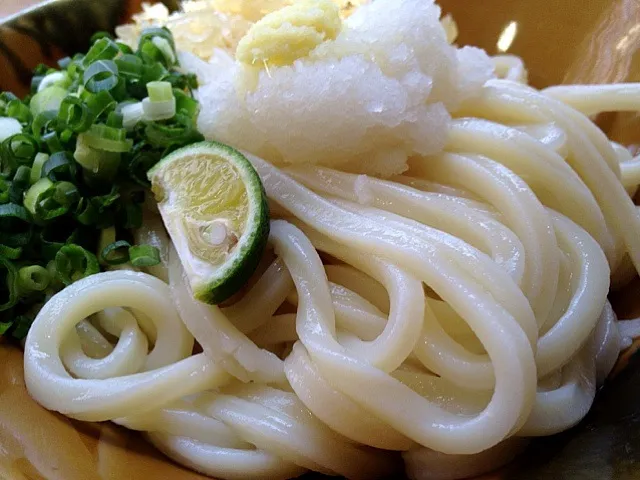 今日の病食「外だけど」。醤油うどん、350円|yossiniさん