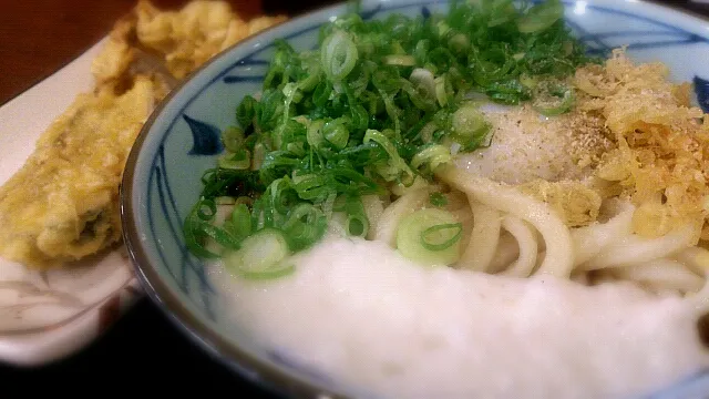 とろ玉うどん|ボンゴさん